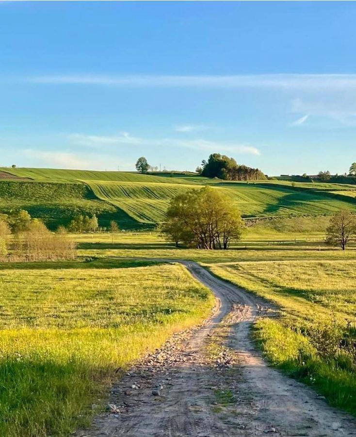 Domek Matylda- Kaszuby Villa Nowe Czaple  Екстериор снимка